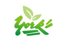 york11
